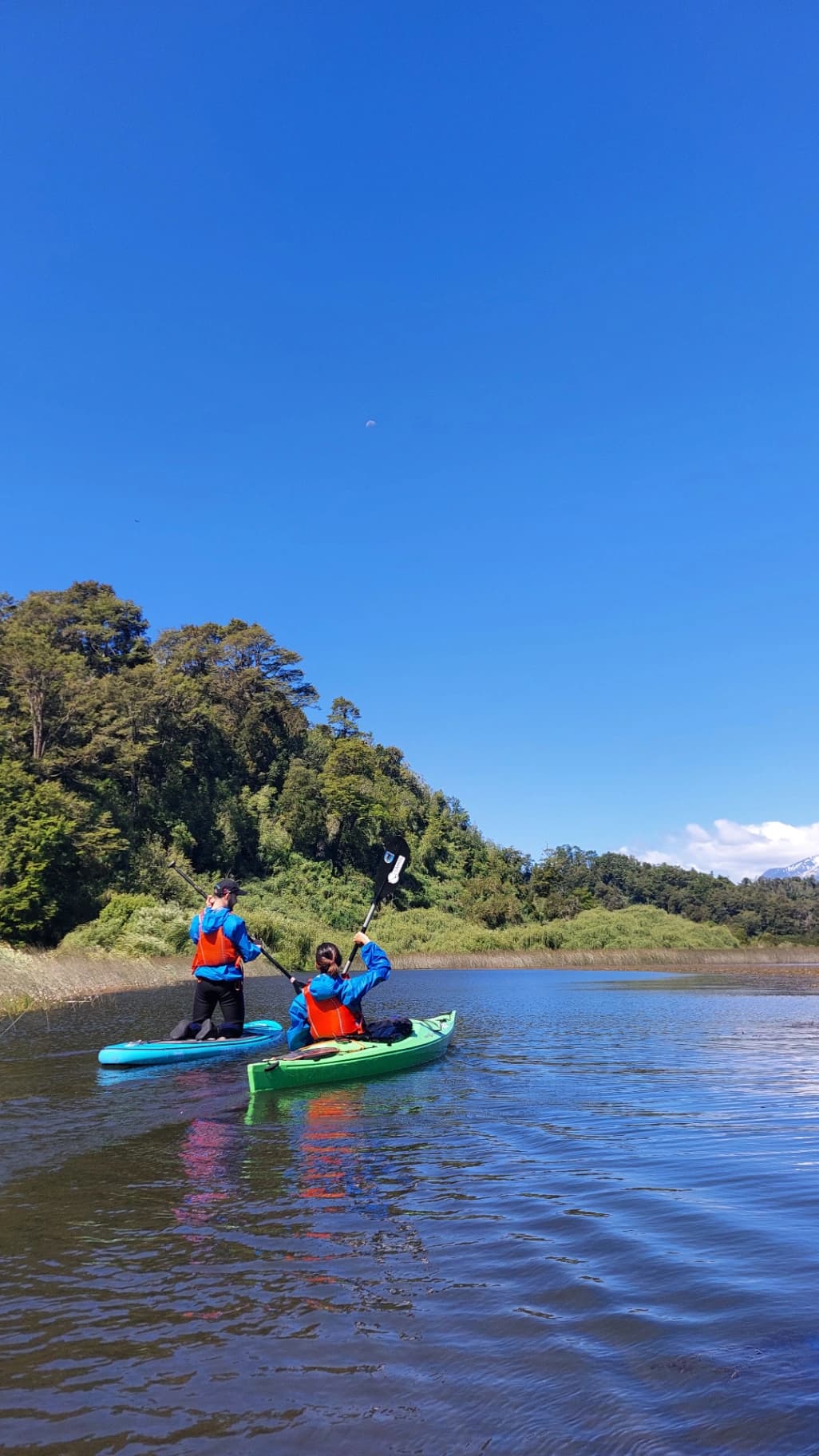 Kayak & SUP medio día Puerto Varas – La Poza - Imagen 2