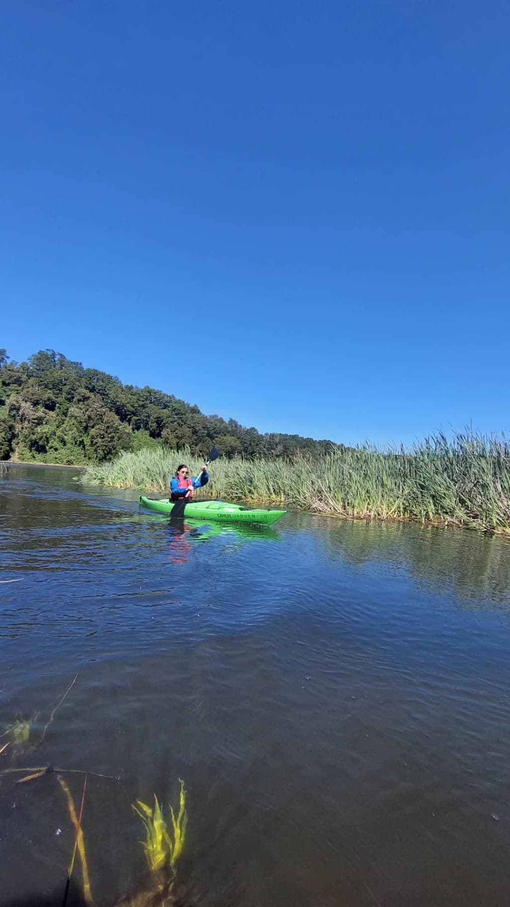 Kayak & SUP medio día Puerto Varas – La Poza - Imagen 5