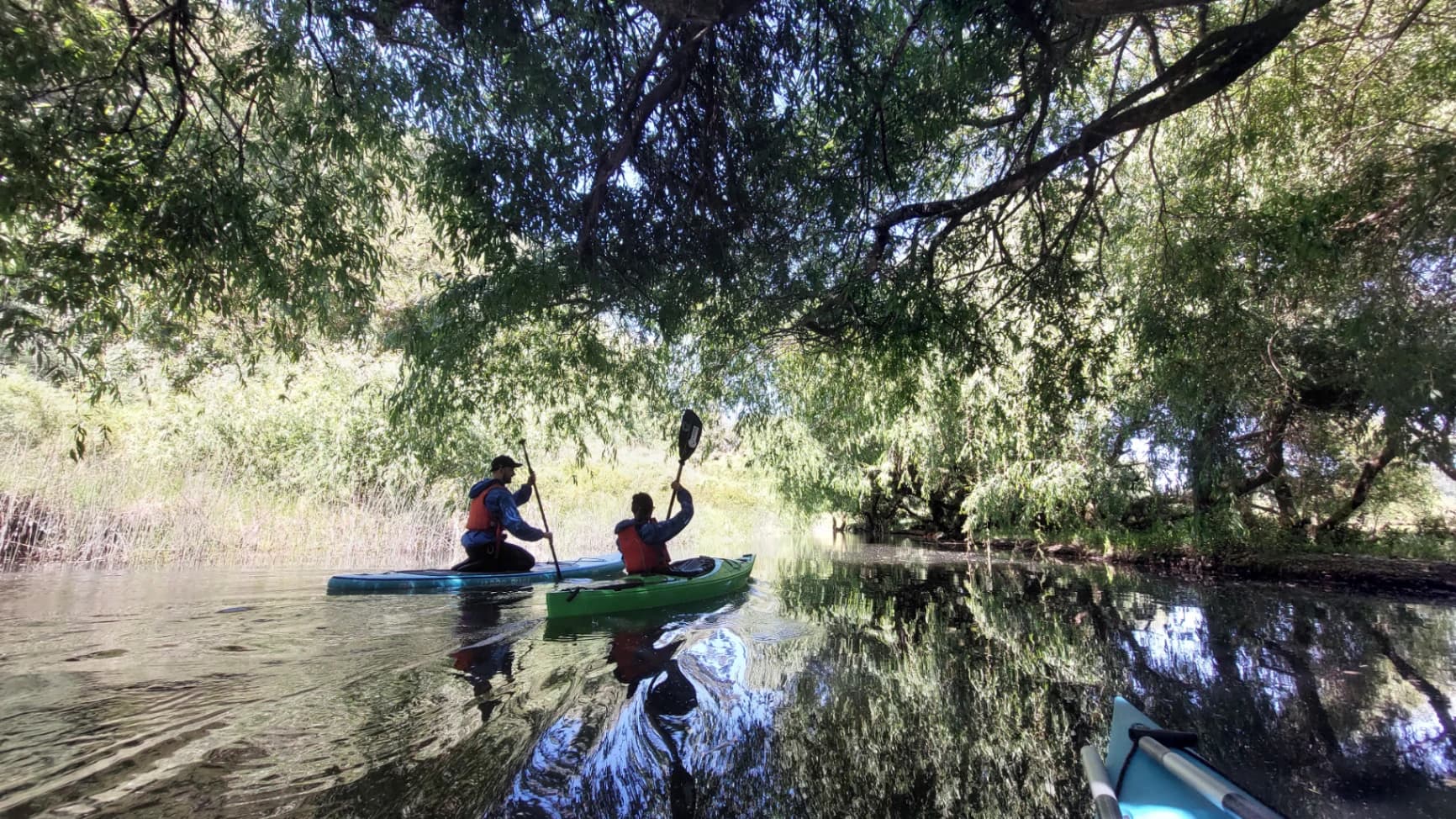 Kayak & SUP medio día Puerto Varas – La Poza - Imagen 3