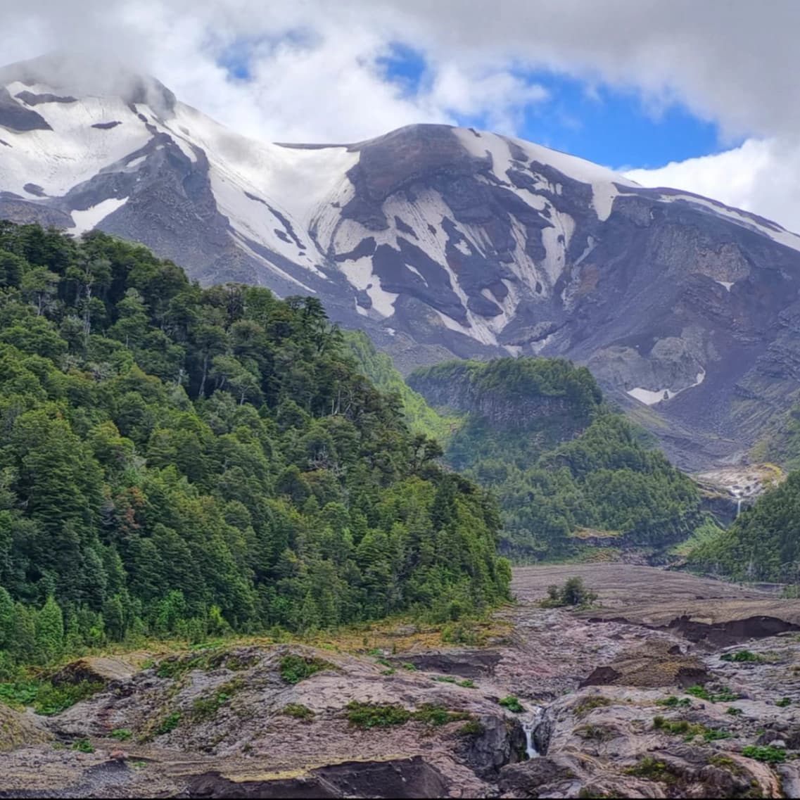 Trekking reserva nacional Llanquihue - Imagen 2