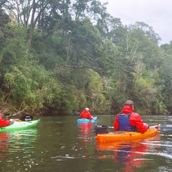 Kayak Rio Maullín – Dia Completo - Imagen 2