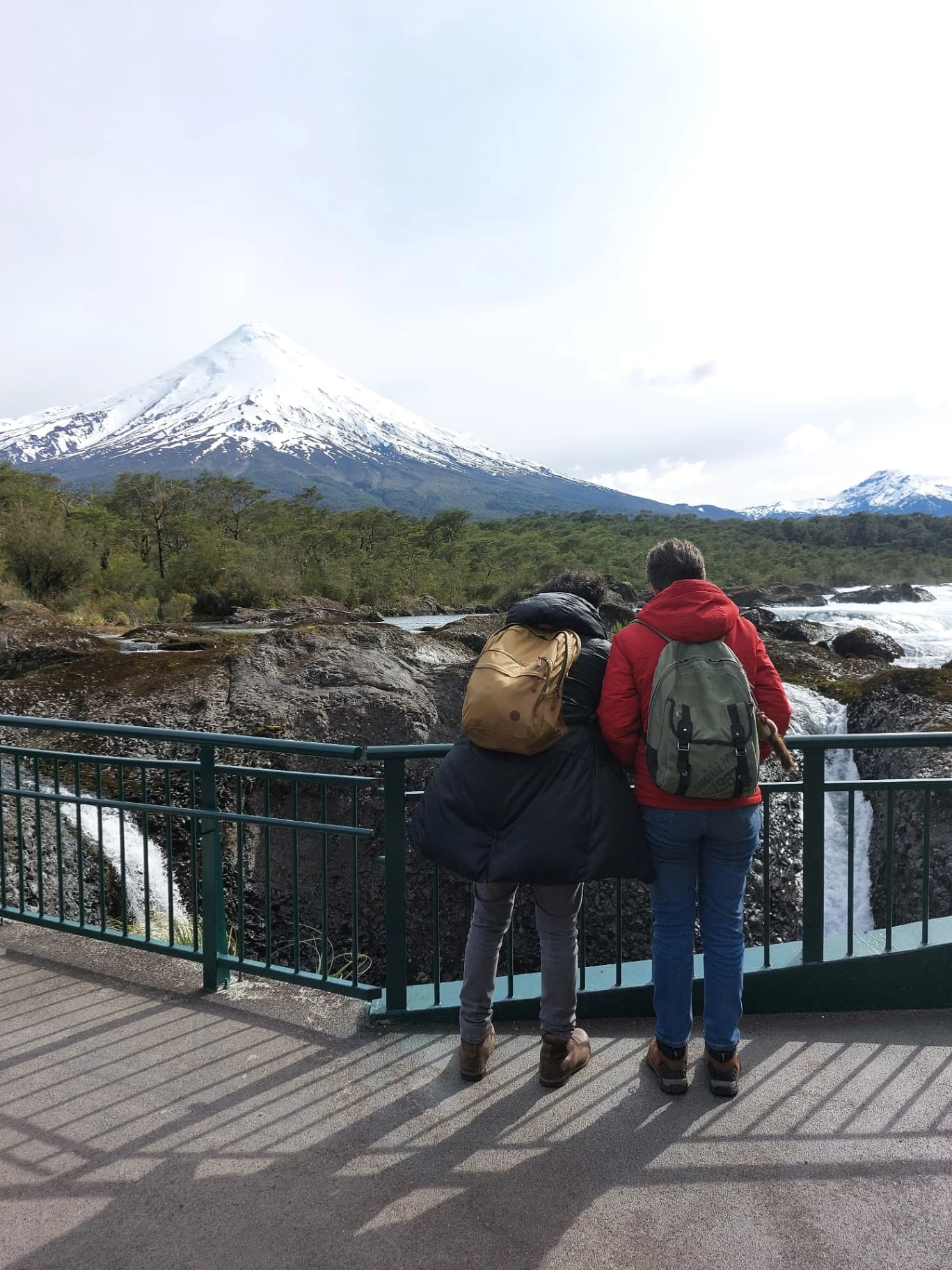 Volcán Osorno Panorámico & Caminata al Cráter Rojo - Imagen 6