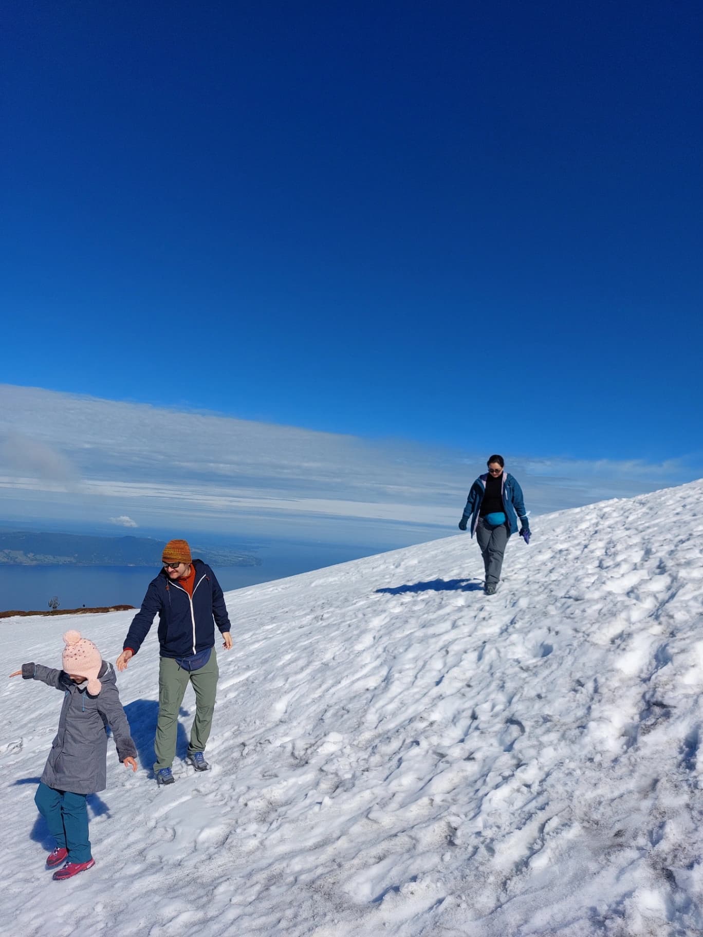 Volcán Osorno Panorámico & Caminata al Cráter Rojo - Imagen 4