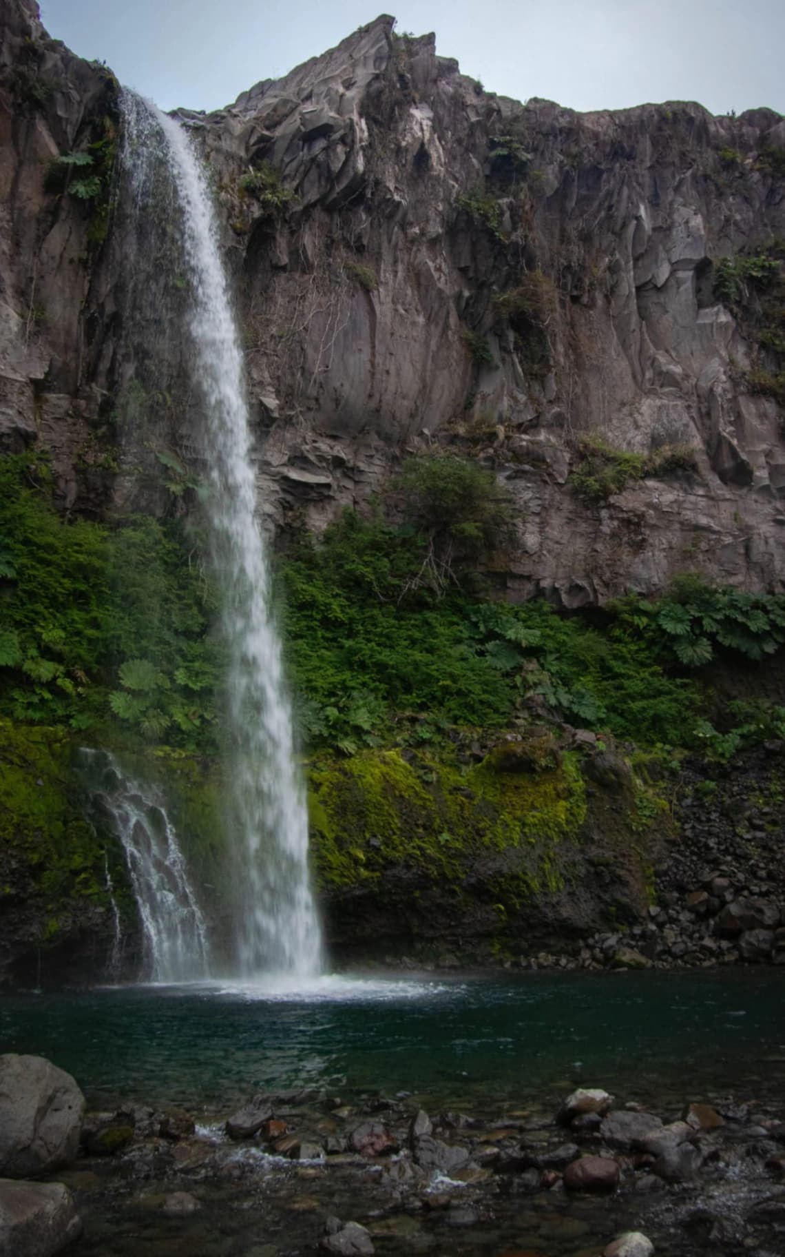 Trekking reserva nacional Llanquihue