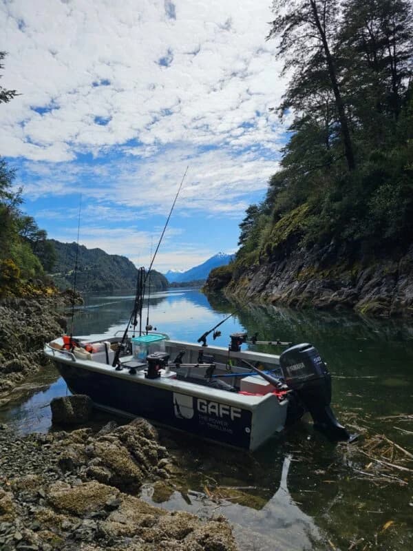 Pesca en el Mar – Salmon Chinook
