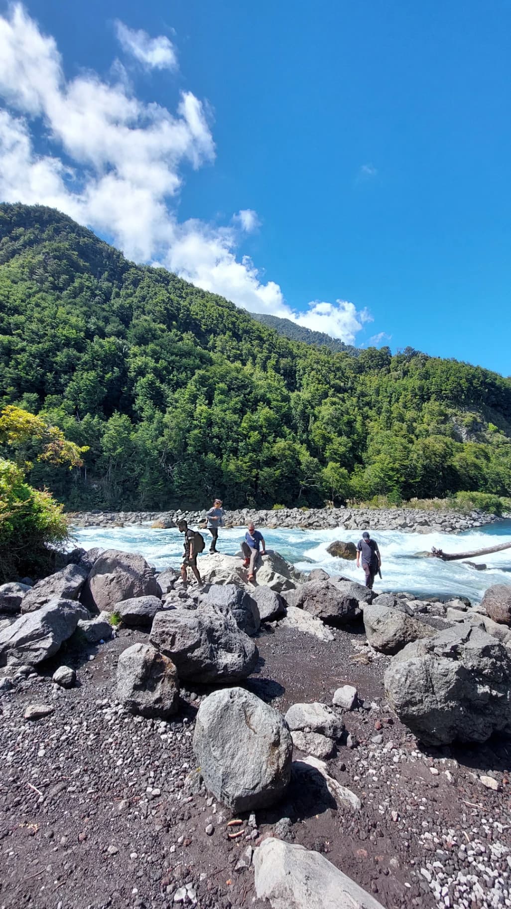 Medio día Tour Saltos de petrohue + Lago todos los Santos