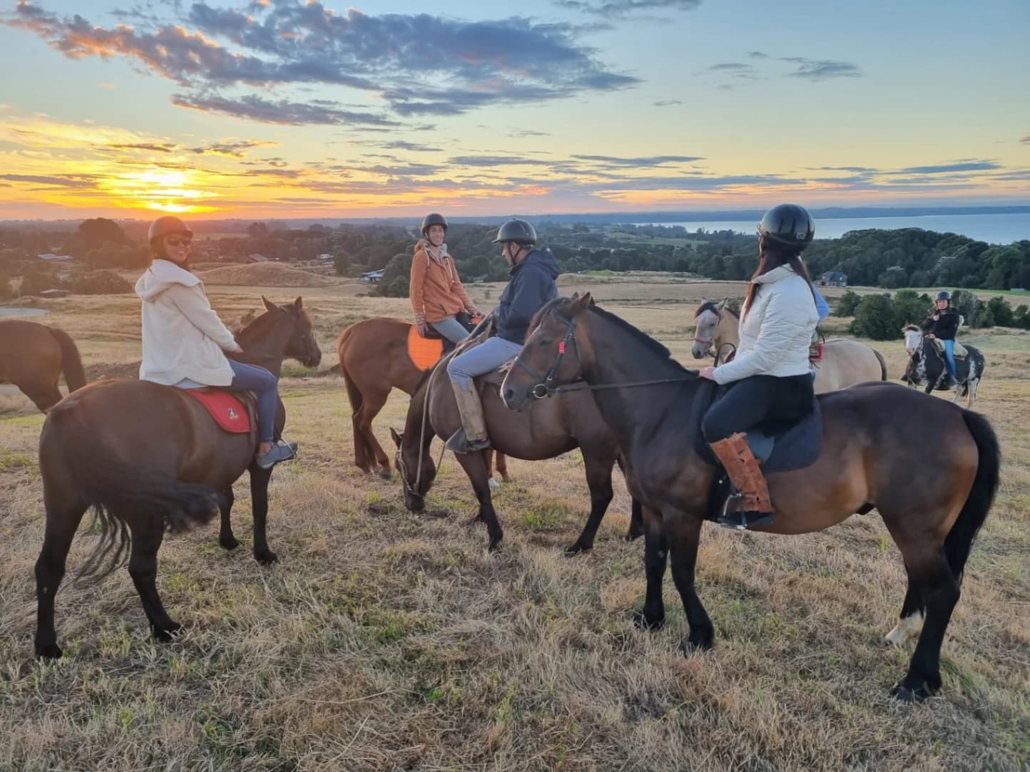 Banner de Cabalgatas