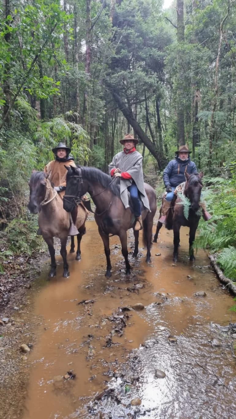Cabalgatas - Imagen 2