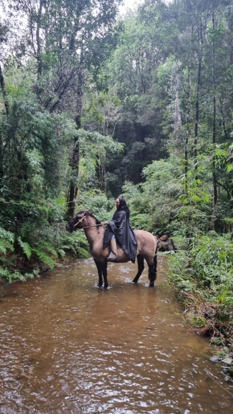 Cabalgatas