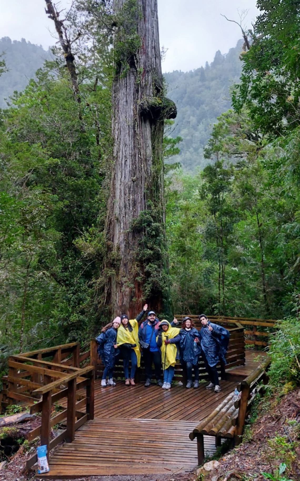 Trekking parque Alerce andino full day